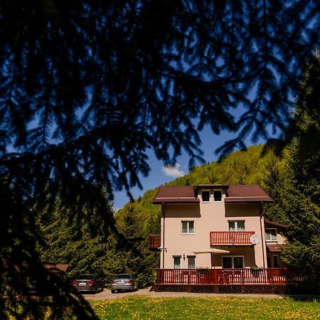 Cabana Zip Zărneşti Exterior foto