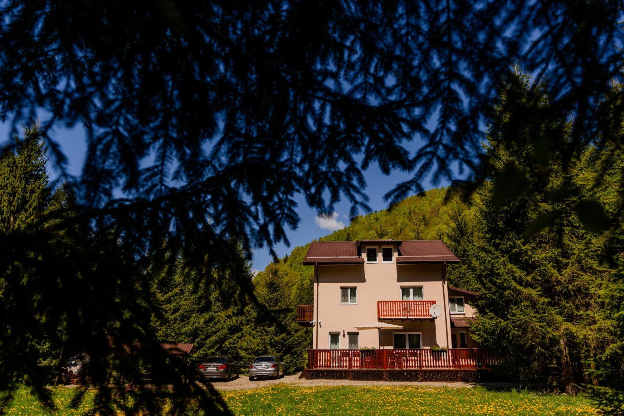 Cabana Zip Zărneşti Exterior foto