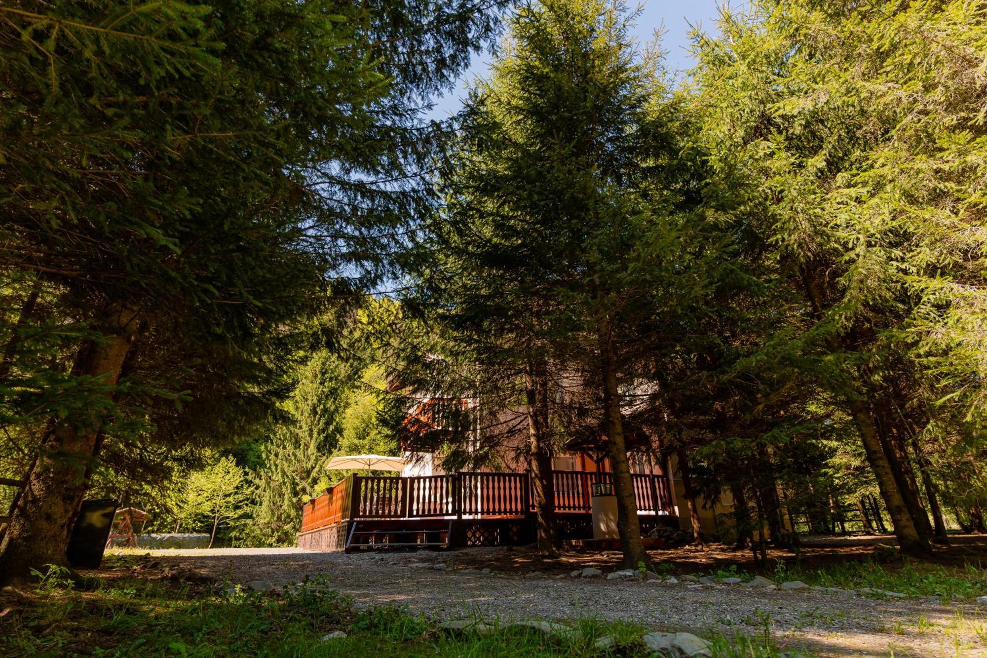 Cabana Zip Zărneşti Exterior foto