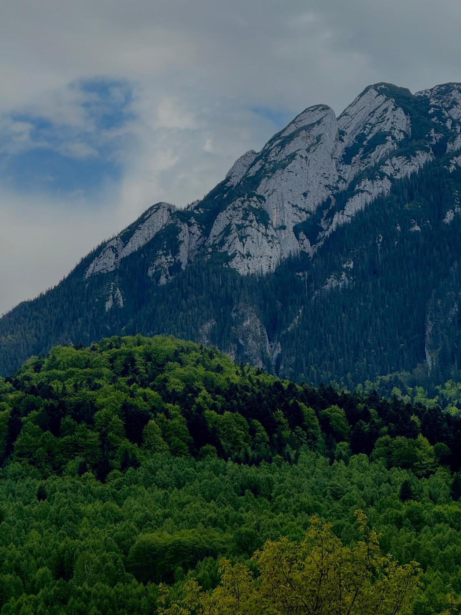 Cabana Zip Zărneşti Exterior foto