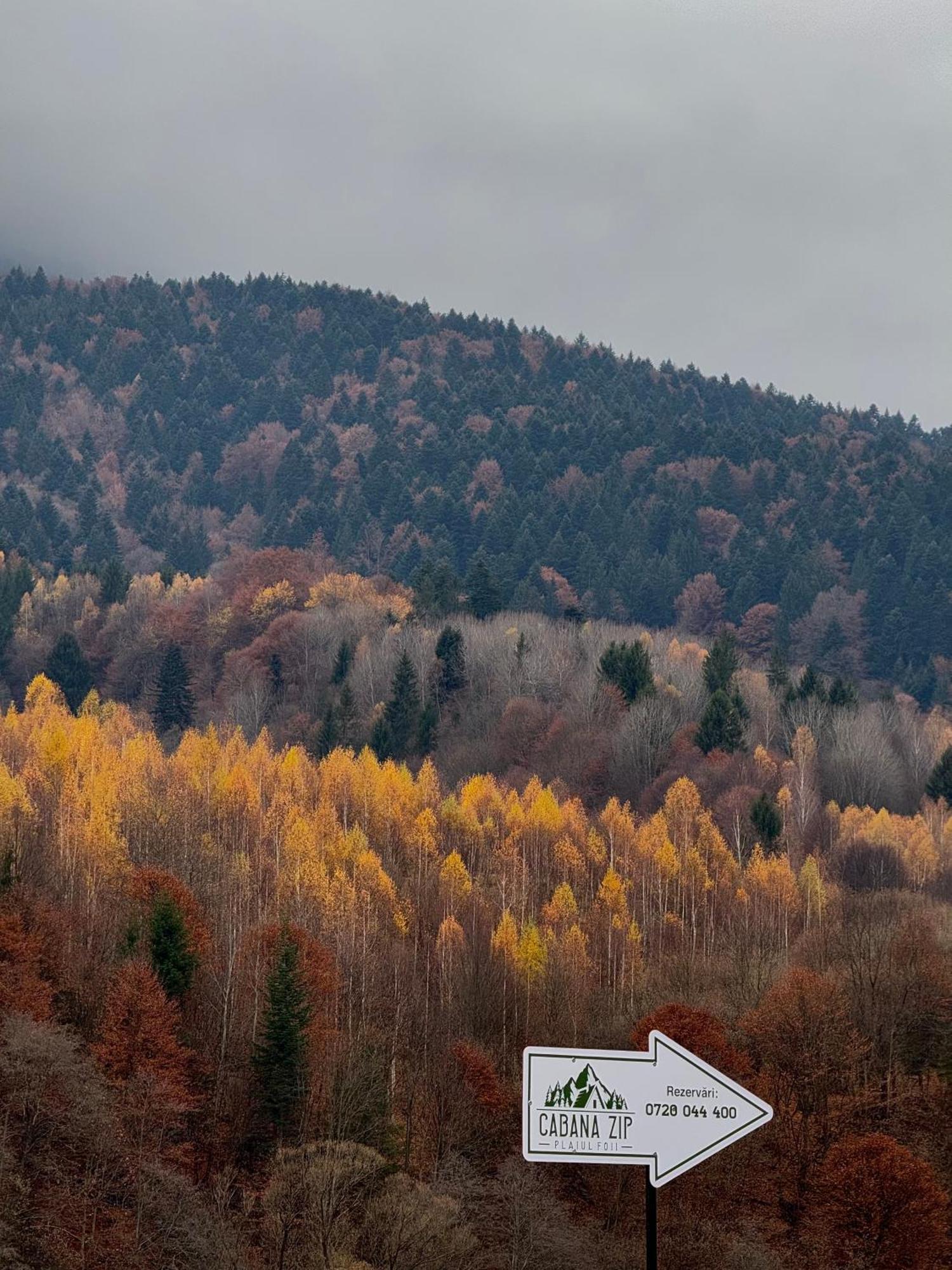 Cabana Zip Zărneşti Exterior foto