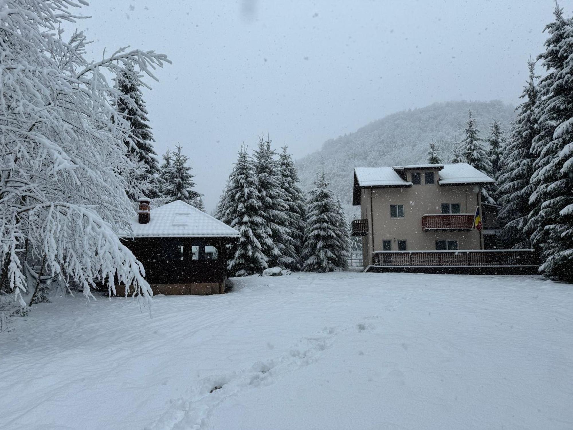 Cabana Zip Zărneşti Exterior foto