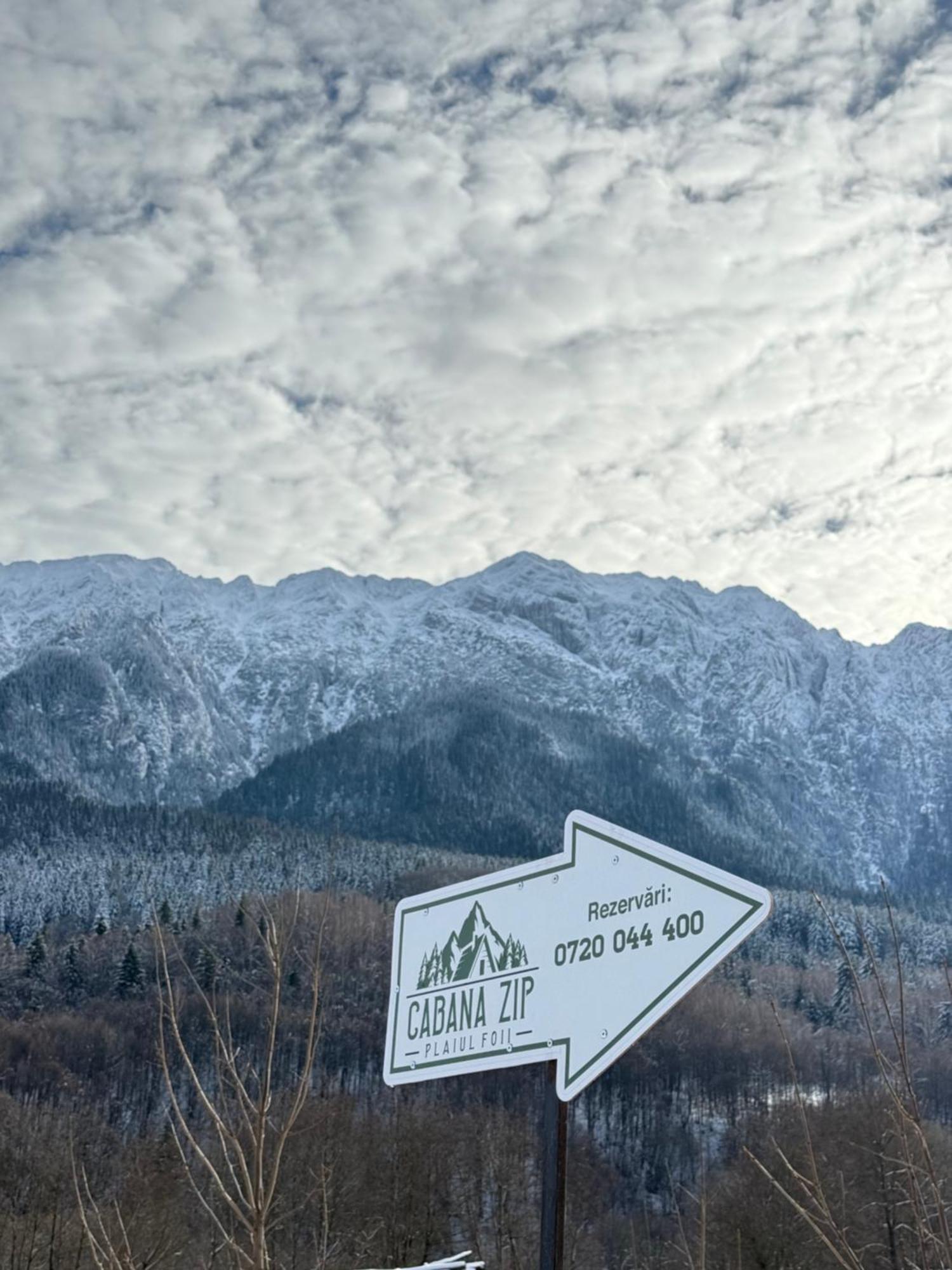 Cabana Zip Zărneşti Exterior foto