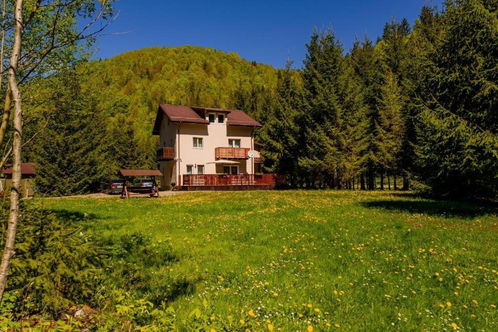 Cabana Zip Zărneşti Exterior foto